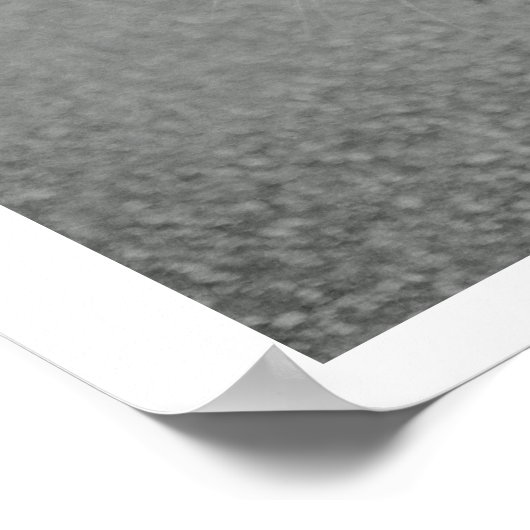 Poster de chat Crabby (Coin)