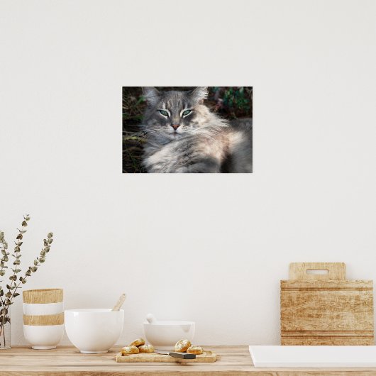Poster de chat de chat de Maine vert gris (Cuisine)