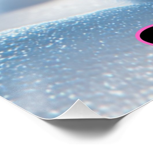 Poster de chat de neige (Coin)