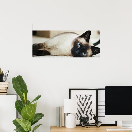 Poster de chat de Siamese (Bureau à domicile)