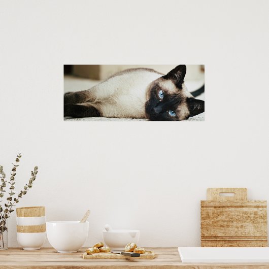 Poster de chat de Siamese (Cuisine)