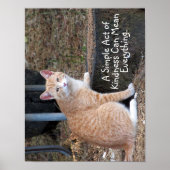 Poster de chat de tabby orange (Devant)