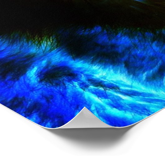 Poster de chat éffrayant (Coin)