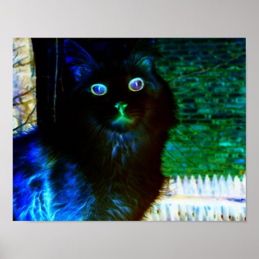 Poster de chat éffrayant (Devant)