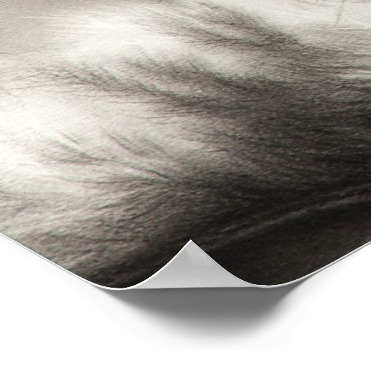 Poster de chat en coton principal (Coin)