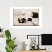 Poster de chat joueuse (Bureau à domicile)