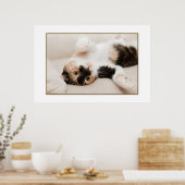 Poster de chat joueuse (Cuisine)