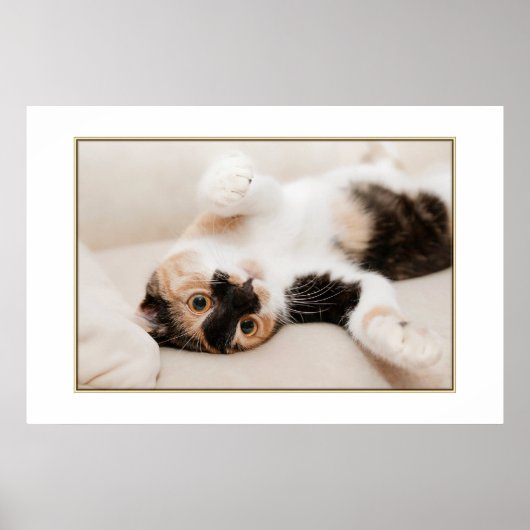 Poster de chat joueuse (Devant)