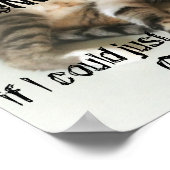 Poster de chat Lazy (Coin)