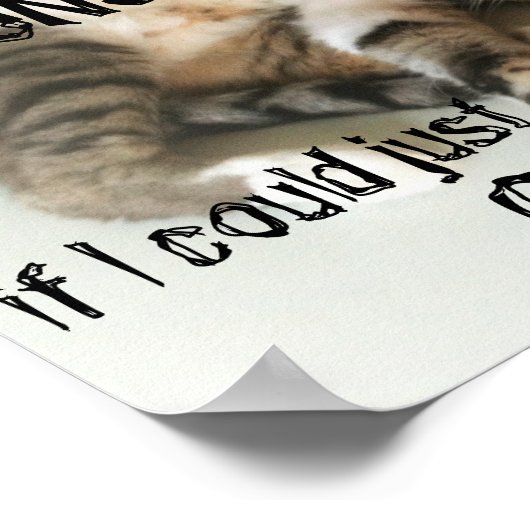 Poster de chat Lazy (Coin)