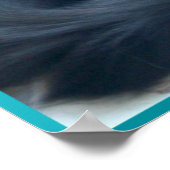 Poster de chat perse noir (Coin)