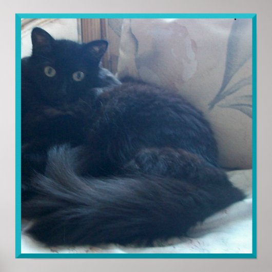 Poster de chat perse noir (Devant)
