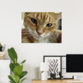 Poster de chat Tabby Orange (Bureau à domicile)