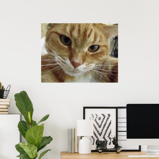 Poster de chat Tabby Orange (Bureau à domicile)