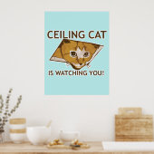 Poster de chats au plafond (Cuisine)