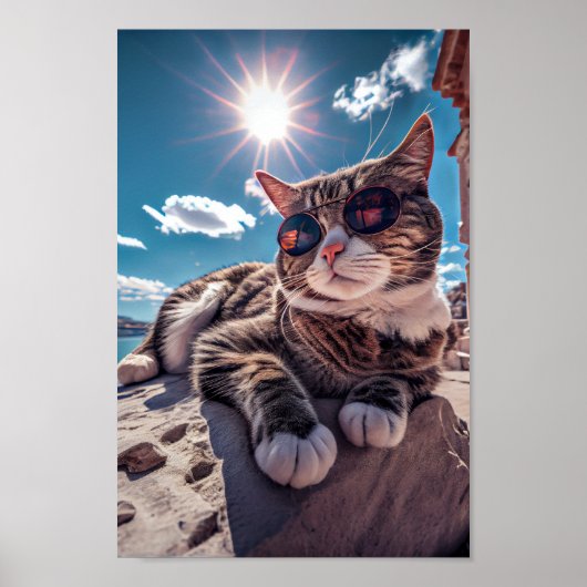 Poster de chats de bord de mer portant des lunette (Devant)