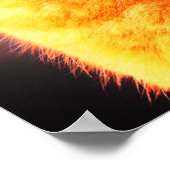 poster de chats jumeaux Merlin et Ange (Coin)