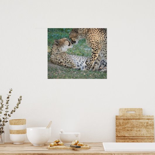 Poster de Cheetah (Cuisine)