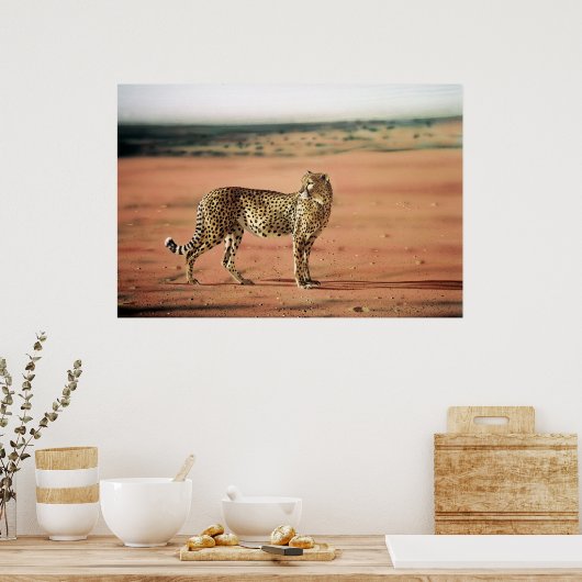 Poster de Cheetah (Cuisine)