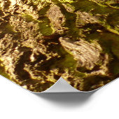 Poster de chêne (Coin)