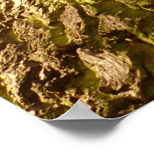 Poster de chêne (Coin)