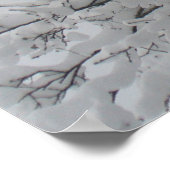 Poster de chêne couvert de neige (Coin)