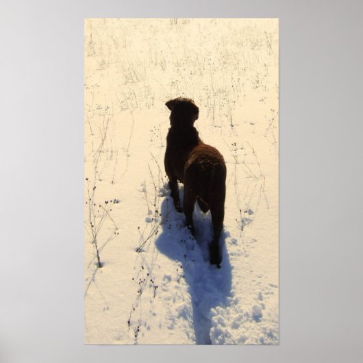 Poster de Chessie (Devant)