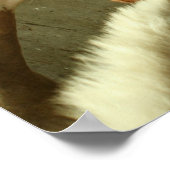 Poster de Cheval Événement Gris (Coin)