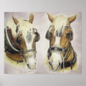 Poster de Chevaux (Devant)