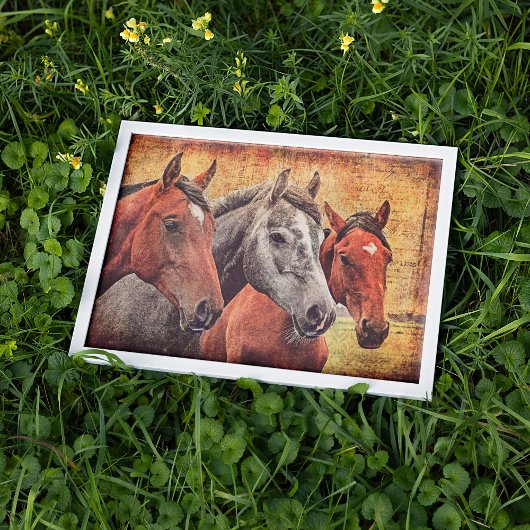 Poster de chevaux pour découpage ou collage papier