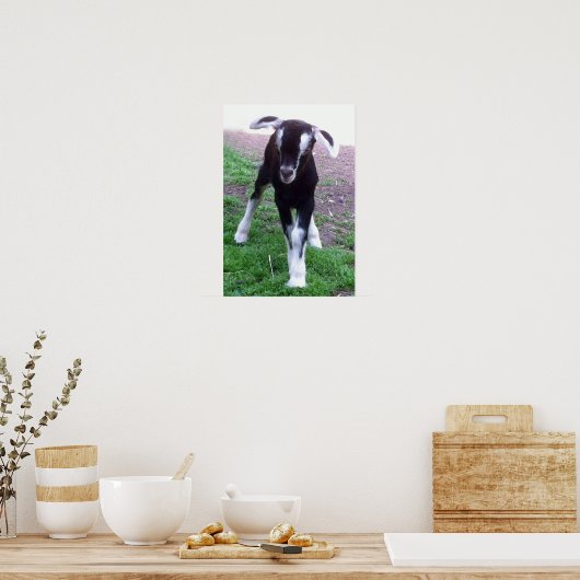 Poster de chèvre (Cuisine)