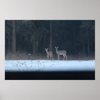 Poster de chevreuils et de faons