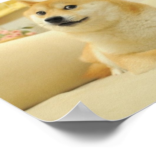 Poster de chien (Coin)