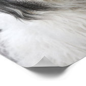 Poster de chien (Coin)