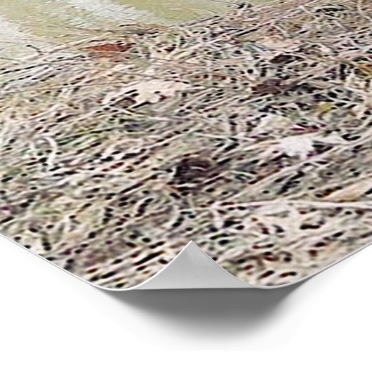 Poster De Chien À La Rivière (Coin)