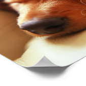 Poster de chien couché du proverbe irlandais (Coin)