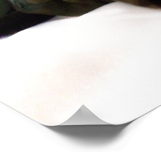 Poster de chien de boxe militaire (Coin)