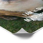 Poster de chien drôle Bulldog Chien de compagnie C (Coin)