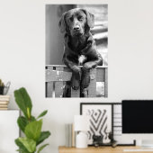 Poster de chien du Labrador noir (Bureau à domicile)
