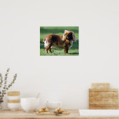 Poster de Chien Espagnol Jouet en Anglais Imprimer (Cuisine)