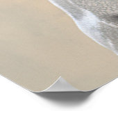 Poster de Chien Hipster de Maltipoa (Coin)