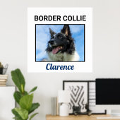 Poster de chien personnalisé Collie Bordure (Bureau à domicile)