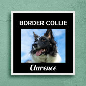 Poster de chien personnalisé Collie Bordure