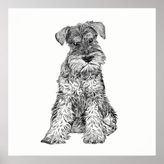 Poster de chien / Schnauzer d'art mural (Devant)