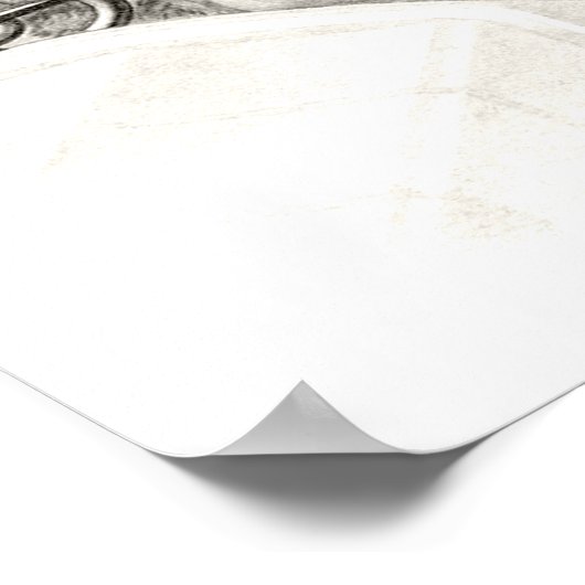 Poster de chien vintage (Coin)