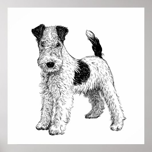 Poster de chien / Wall Art Fox Terrier (Devant)