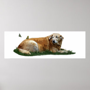 Poster de chiens de races mixtes du Labrador jaune