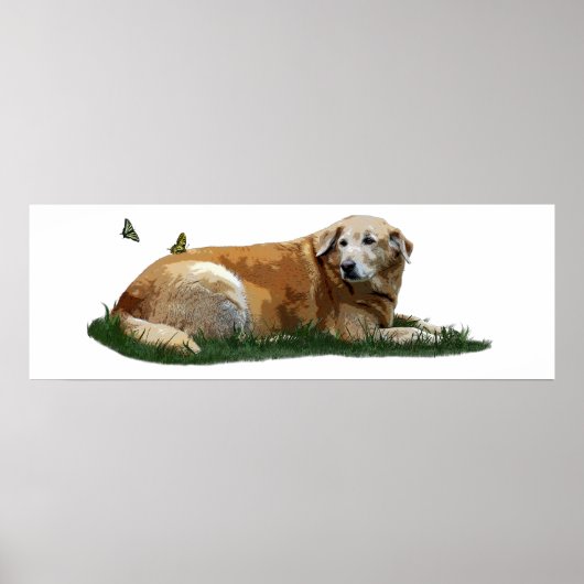 Poster de chiens de races mixtes du Labrador jaune (Devant)