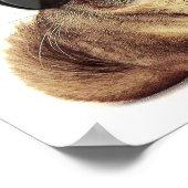 Poster de Chinchillin (Coin)