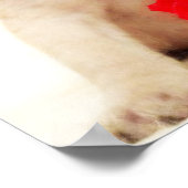 poster de chiot carlin (Coin)